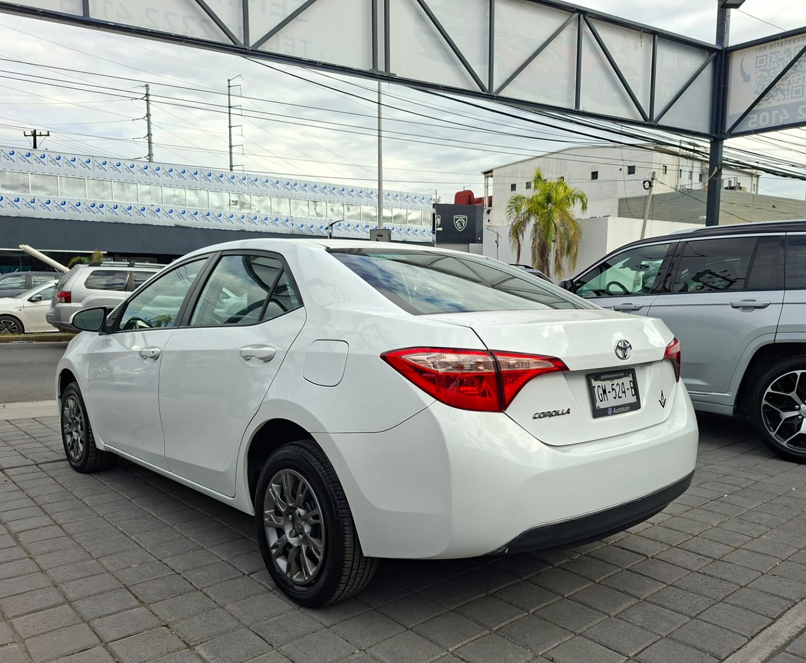 WhatsApp Image 2026-01-21 at 5.40.12 PM (1)