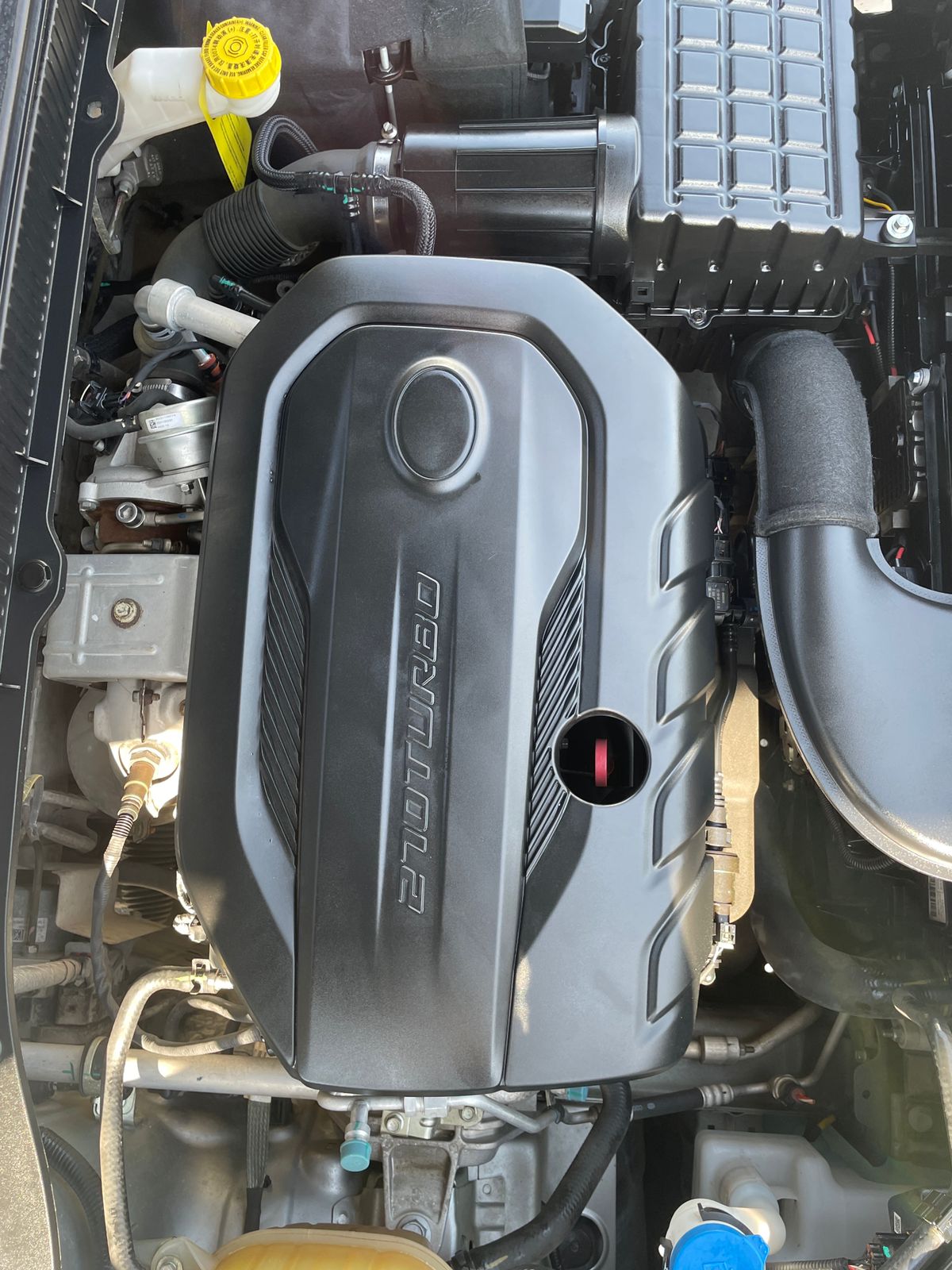 WhatsApp Image 2026-01-29 at 1.12.39 PM (1)