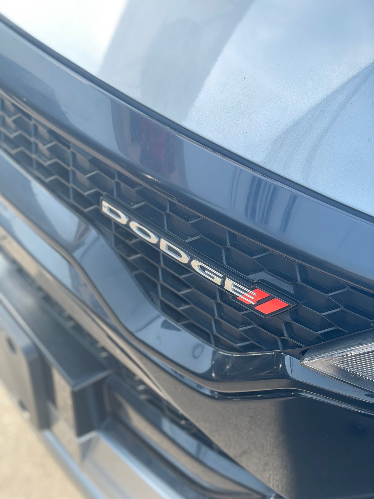 WhatsApp Image 2026-01-29 at 1.12.41 PM