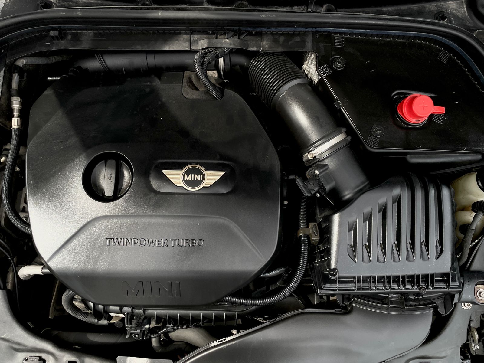 WhatsApp Image 2026-01-30 at 1.24.13 PM (3)