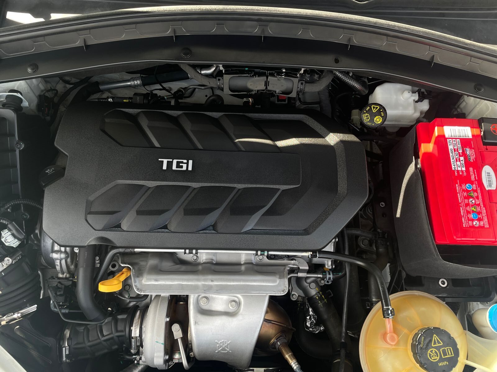 WhatsApp Image 2026-01-30 at 11.14.08 AM