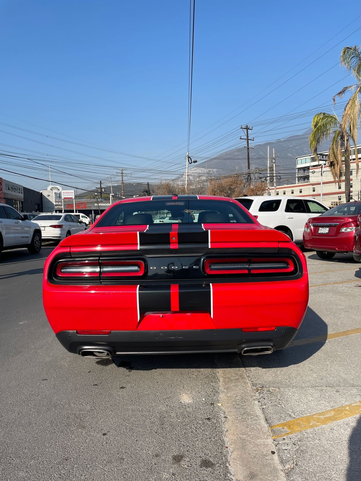 WhatsApp Image 2026-02-11 at 1.10.19 PM