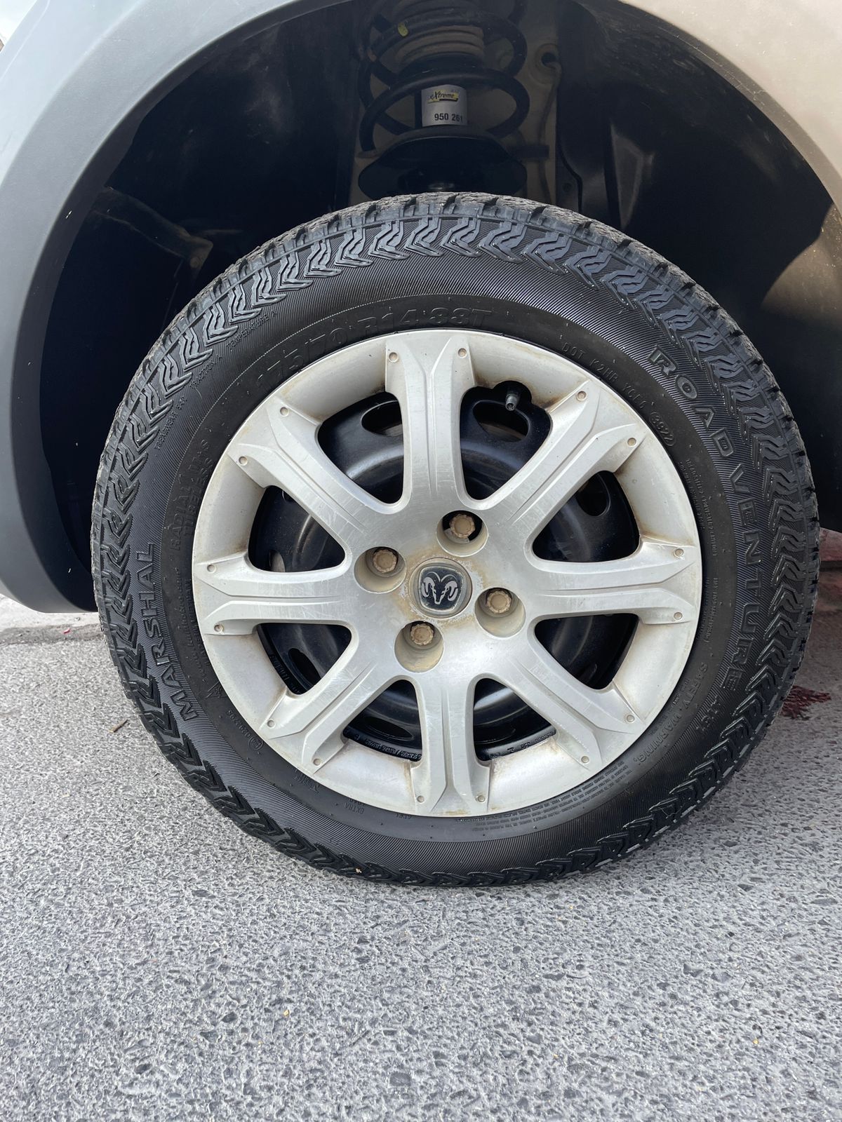 WhatsApp Image 2026-02-13 at 5.02.22 PM (1)