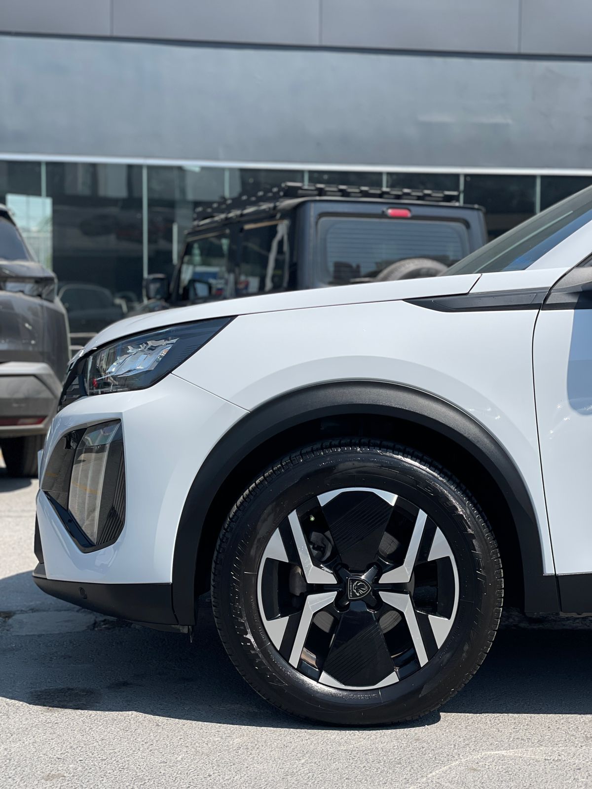 WhatsApp Image 2026-03-20 at 12.02.23 PM (1)