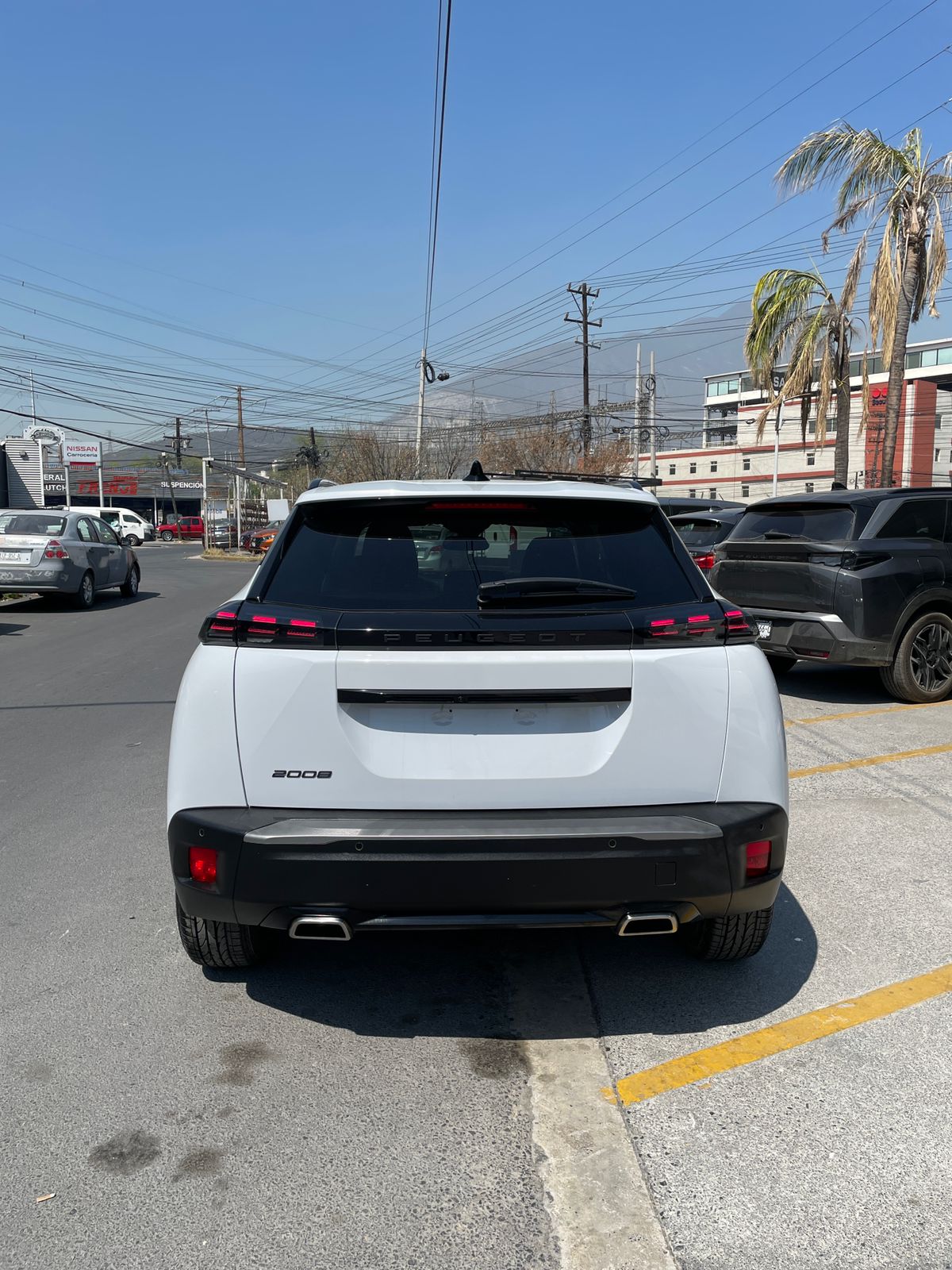 WhatsApp Image 2026-03-20 at 12.02.25 PM (1)