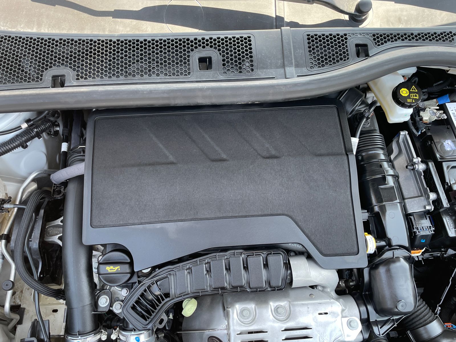 WhatsApp Image 2026-03-20 at 12.02.27 PM (4)